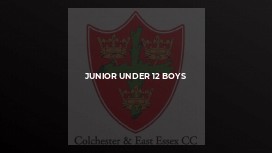 Junior Under 12 Boys