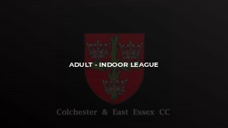 Adult - Indoor League