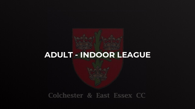 Adult - Indoor League