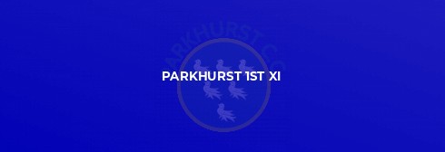 Steyning Rebels outgun Parkhurst in high-scoring game