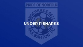 Under 11 Sharks