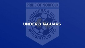 Under 8 Jaguars