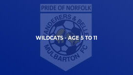 Wildcats - Age 5 to 11