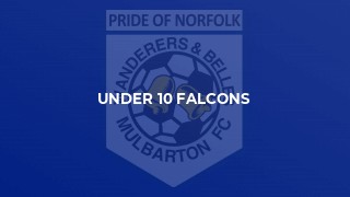 Under 10 Falcons