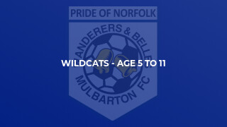 Wildcats - Age 5 to 11