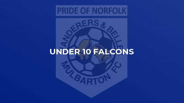 Under 10 Falcons