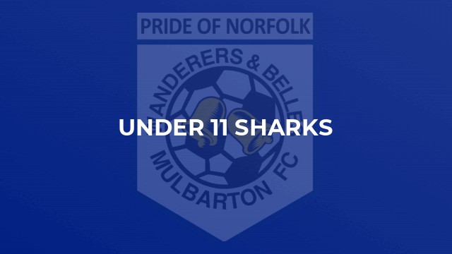 Under 11 Sharks