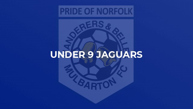 Under 9 Jaguars