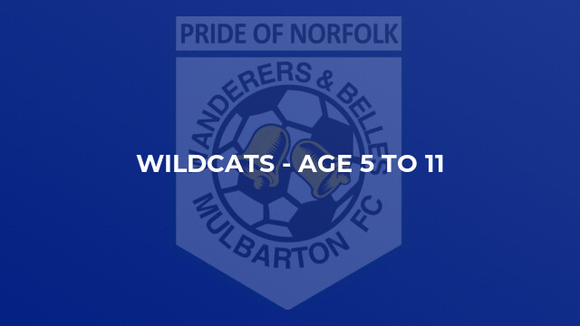 Wildcats - Age 5 to 11