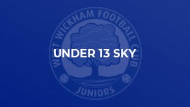 Under 13 Sky