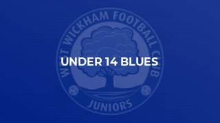 Under 14 Blues