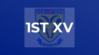 1st XV