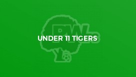 Under 11 Tigers