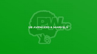U8 Avengers & Marvels