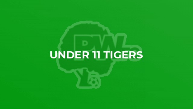 Under 11 Tigers