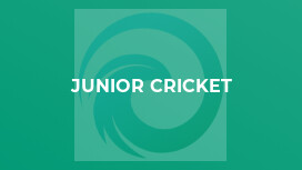 Junior Cricket