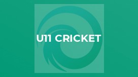 U11 Cricket