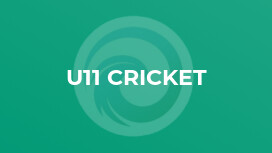 U11 Cricket