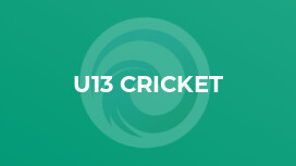 U13 Cricket