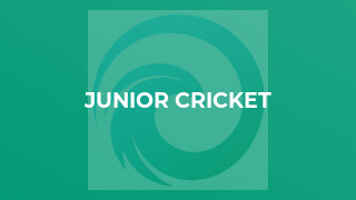Junior Cricket