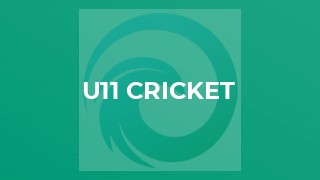 U11 Cricket