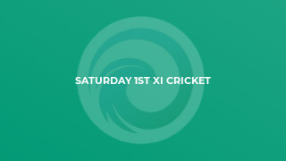 Saturday 1st XI Cricket