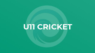 U11 Cricket