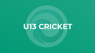 U13 Cricket