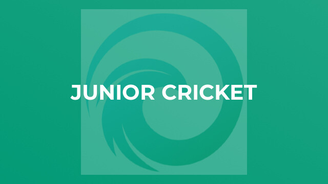 Junior Cricket