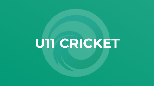 U11 Cricket