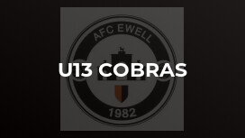 U13 Cobras