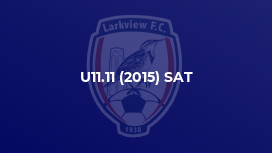 U11.11 (2015) SAT