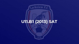 U11.B1 (2013) SAT