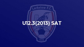 U12.3(2013) SAT