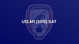 U12.M1 (2013) SAT