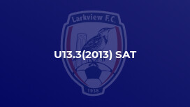 U13.3(2013) SAT