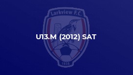 U13.M (2012) SAT