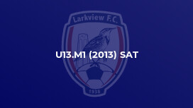 U13.M1 (2013) SAT