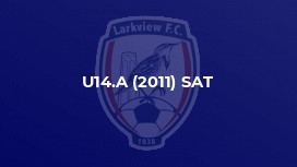 U14.A (2011) SAT