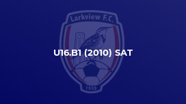 U16.B1 (2010) SAT