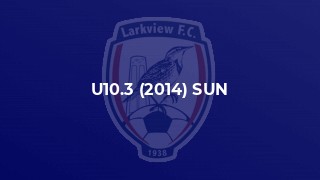 U10.3 (2014) SUN