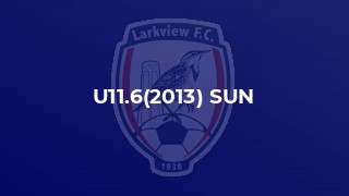 U11.6(2013) SUN