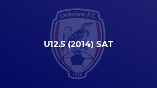 U12.5 (2014) SAT