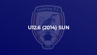 U12.6 (2014) SUN