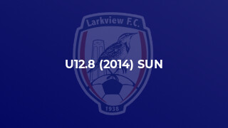 U12.8 (2014) SUN