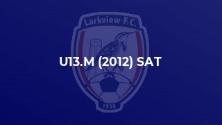 U13.M (2012) SAT