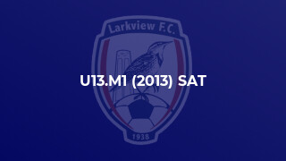 U13.M1 (2013) SAT