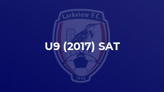 U9 (2017) SAT