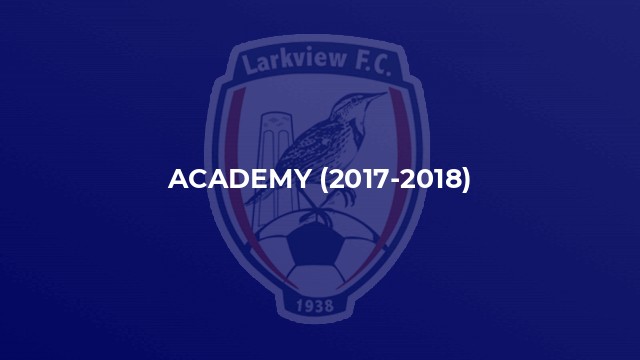 Academy (2017-2018)