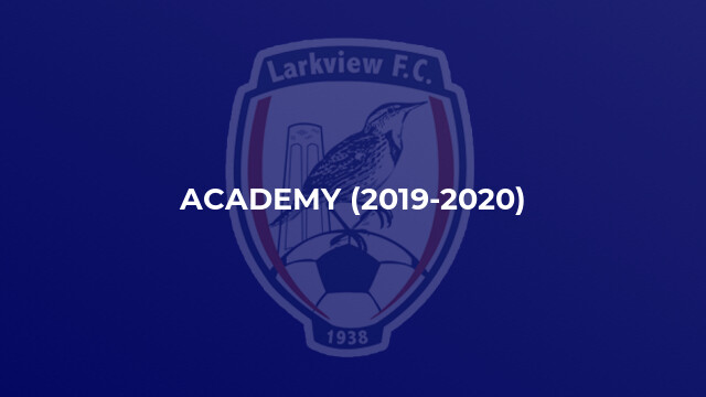 Academy (2019-2020)